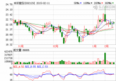 牽手東方電氣 中環股份傍核電巨頭造電動汽車？