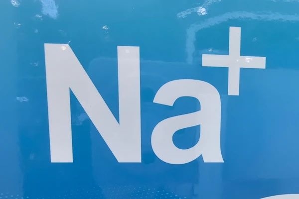 20億元！17條產線！莫鈉技術內蒙古鈉電池產業項目備案通過