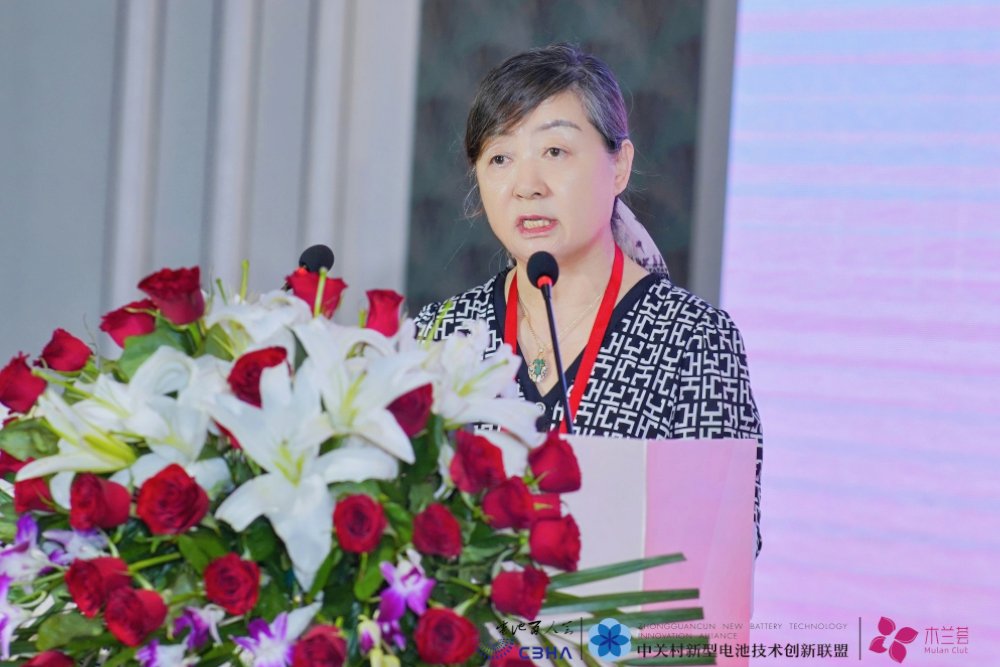 保力新高保清:從實(shí)業(yè)興邦到新能源突圍 解碼女性領(lǐng)導(dǎo)力的剛與柔