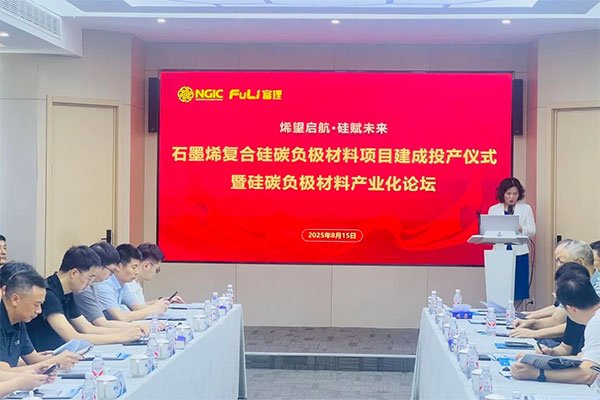 年產300噸！這一石墨烯復合硅碳負極生產線正式投產
