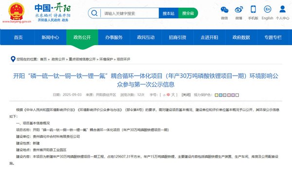 坐標貴州貴陽!一年產30萬噸磷酸鐵鋰項目公示