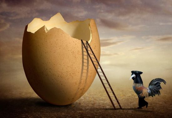 買了蛋就送雞 電動車與充電樁一起賣破解充電難題