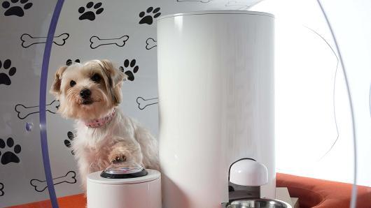 被蘋果逼急了?三星推出3萬美元高科技狗窩 被蘋果逼急了?三星推出3萬美元高科技狗窩