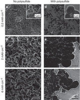 科學家成功找到解決鋰電池安全隱患的新方式