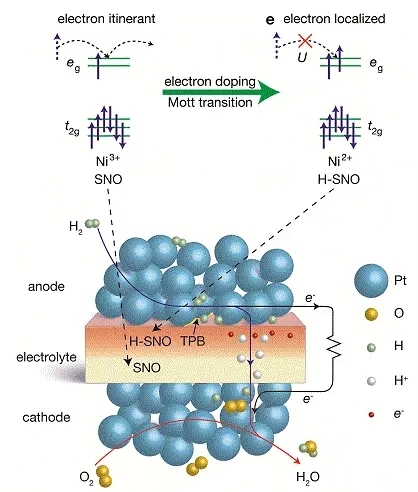 “強關聯材料燃料電池”是一種怎樣的黑科技?