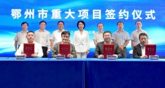 【一周項目動態(tài)】聚焦上半年正負極材料項目動態(tài)分析！格林美/中偉股份/石大勝華/LG化學(xué)收獲長單