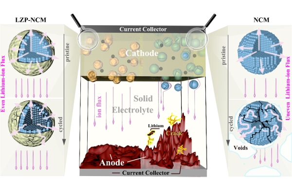 助力高鎳三元硫化物基全固態(tài)電池開發(fā) 青島能源所獲新研究成果