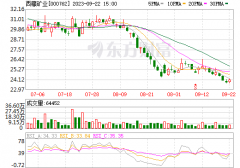 第七次掛牌！底價(jià)2.74億！西藏礦業(yè)再打折甩賣鋰業(yè)公司