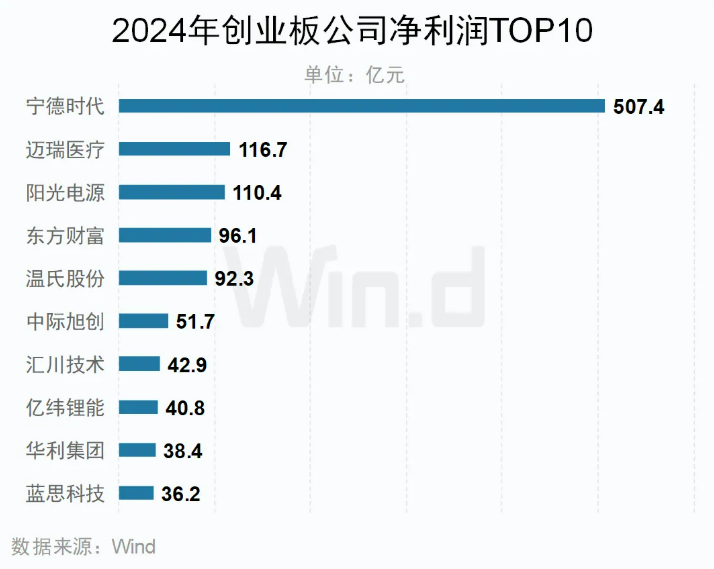 2024年創業板歸母凈利潤TOP10公司