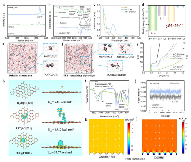 酒石酸鉀鈉對電解液離子結(jié)構(gòu)以及電極界面的調(diào)控機(jī)制