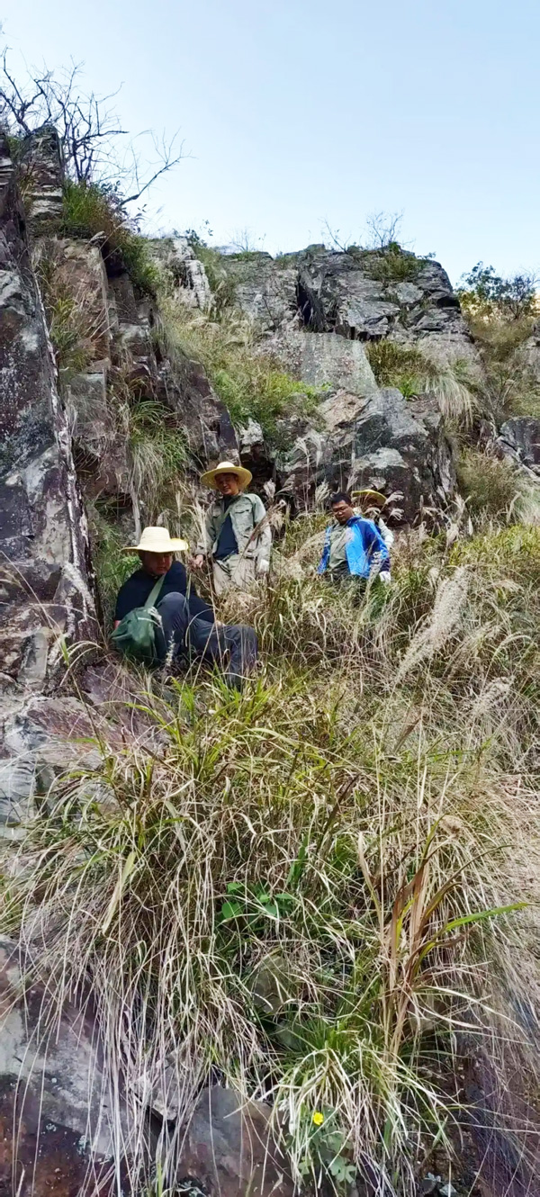 雞腳山礦區(qū)工作現(xiàn)場 圖片來源:湖南日報 雞腳山礦區(qū)工作現(xiàn)場 圖片來源:湖南日報