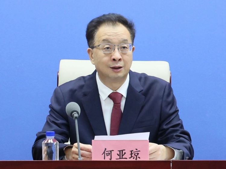 工業和信息化部消費品工業司司長 何亞瓊 工業和信息化部消費品工業司司長 何亞瓊