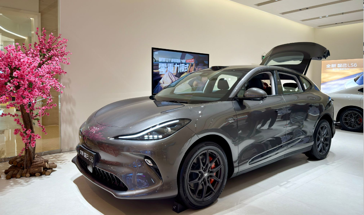 上汽知己LS6 上汽知己LS6