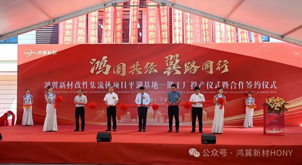 浙江鴻翼新材料有限公司 浙江鴻翼新材料有限公司