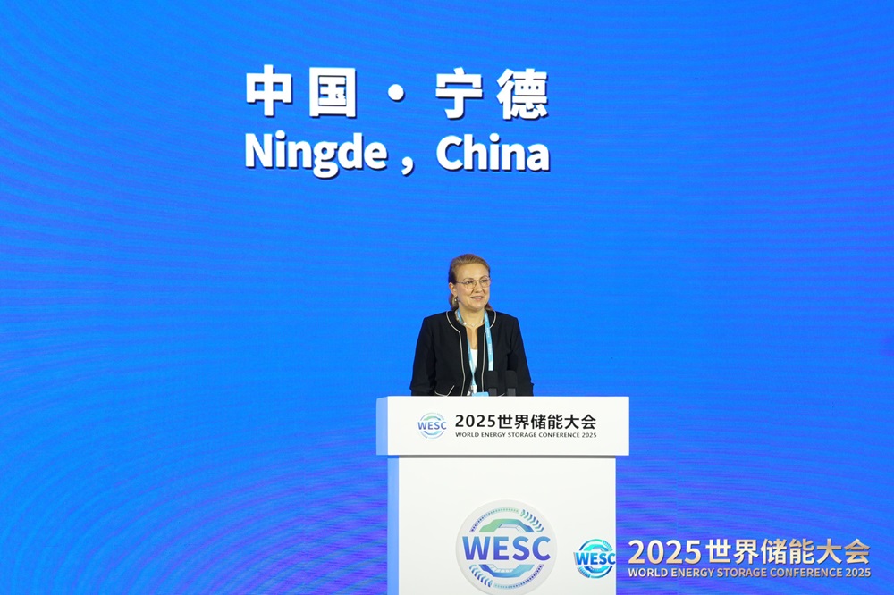 國(guó)際可再生能源署發(fā)布全球首份儲(chǔ)能專題報(bào)告完整版 寧德時(shí)代深度參與