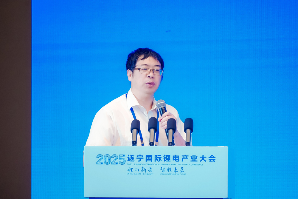 非洲科學院院士/德國薩克森科學院通訊院士/東南大學能源與環境學院教授/東南大學新一代儲能中心執行主任 吳宇平