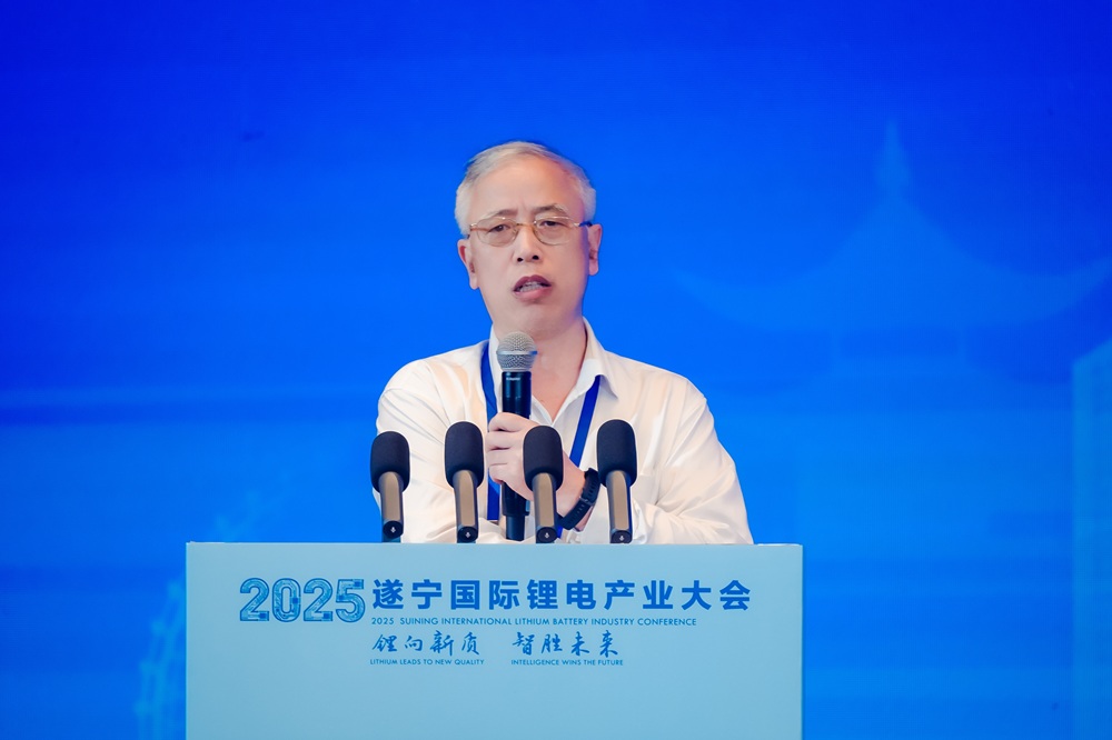 中南大學化學電源與材料研究所所長/教授唐有根