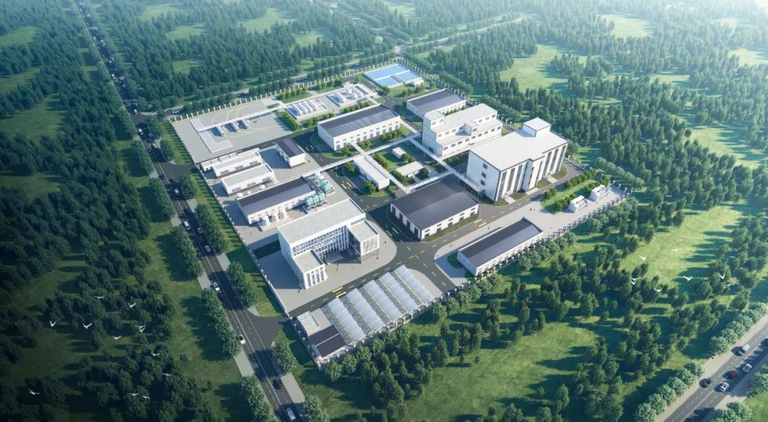 第15屆（2025年）中國電池新能源行業(yè)成長潛力獎：德比電材