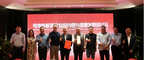 破局“內(nèi)卷”！電池電解質(zhì)行業(yè)健康發(fā)展研討會(huì)發(fā)布共同倡議