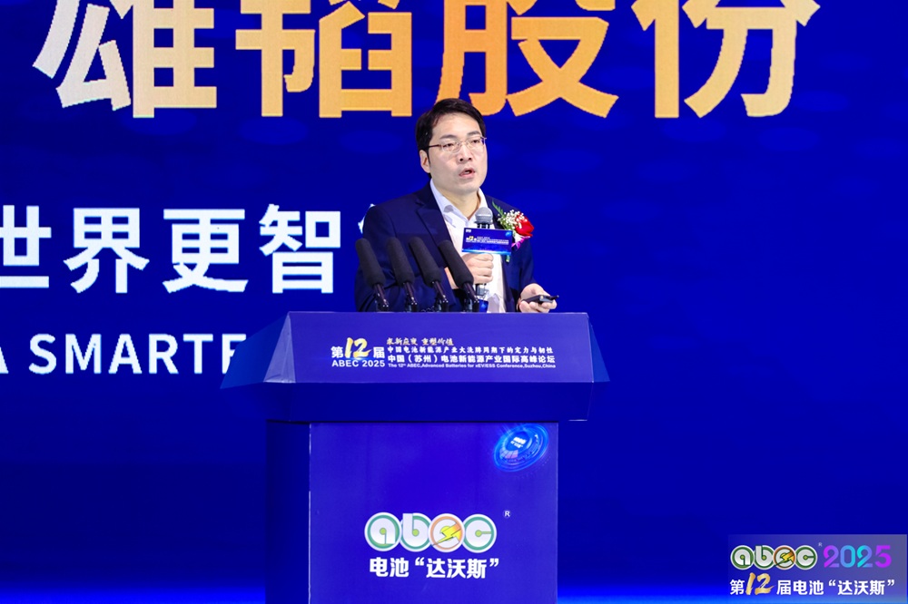 中國科學(xué)院上海硅酸鹽研究所研究員、能源中心主任張濤