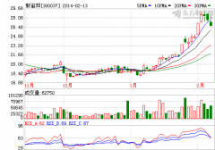 特斯拉概念催漲股價 電解液行業競爭激烈