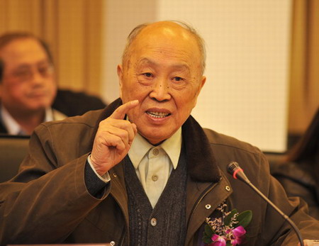 楊裕生：發(fā)展微小實(shí)用型純電動(dòng)汽車(chē)