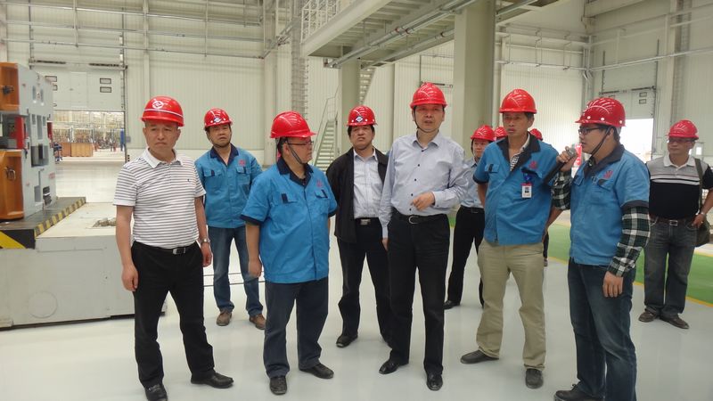 四川經信委主任王海林調研綿陽新能源車項目情況