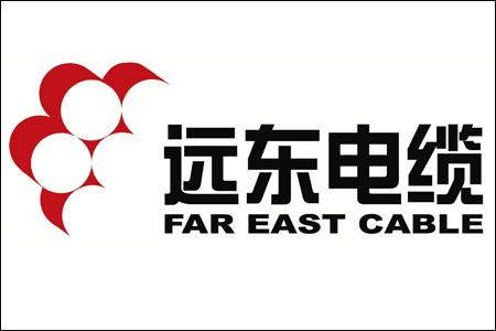 遠東電纜:攜手特斯拉 掘金新能源汽車市場 遠東電纜:攜手特斯拉 掘金新能源汽車市場