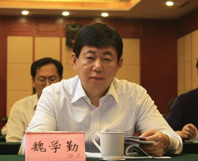 “行業(yè)自律公約”發(fā)布月余 魏學(xué)勤解讀電動(dòng)車行業(yè)標(biāo)準(zhǔn)