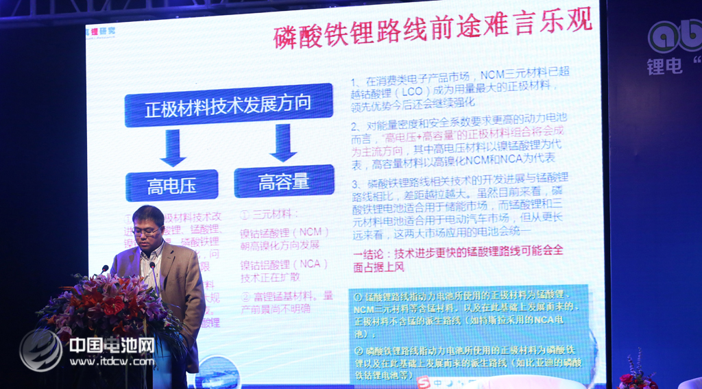 第二屆鋰電“達沃斯”學術委員會秘書長、真鋰研究首席研究員墨柯