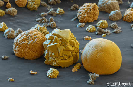 巴斯夫宣布商用磷酸鐵鋰正極材料在德國投產(chǎn)