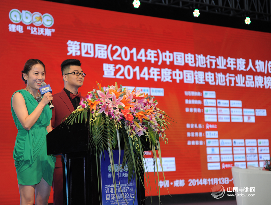 董揚:希望形成針對汽車產業發展的國家意志 董揚:希望形成針對汽車產業發展的國家意志