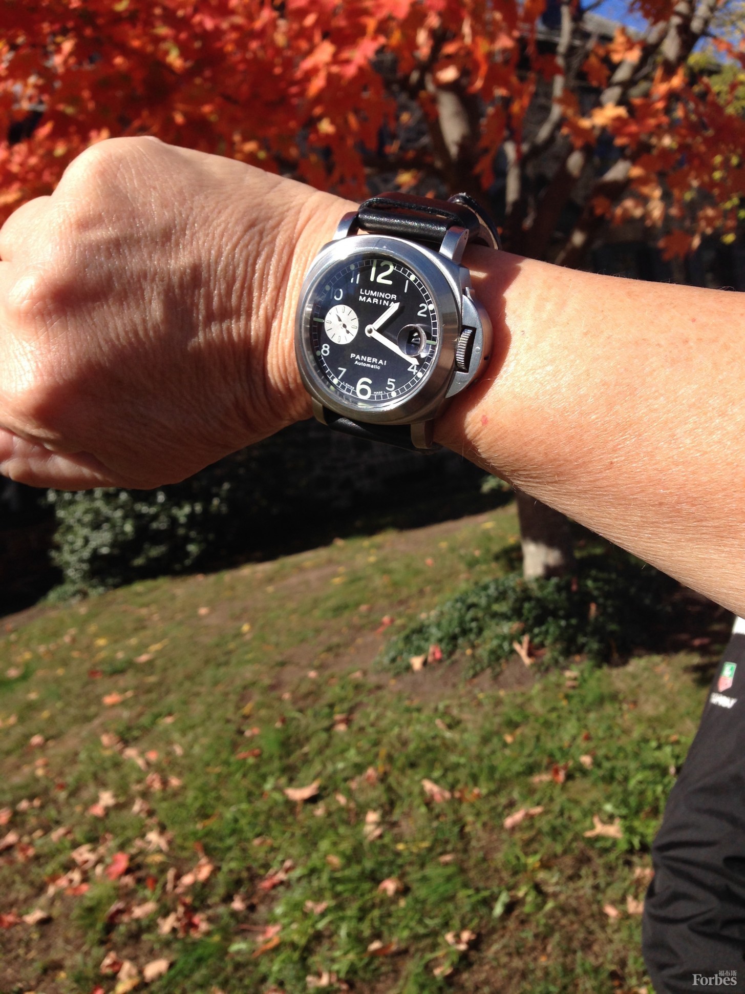 奢侈腕表可望不可及？腕表租賃公司Eleven James幫你圓夢