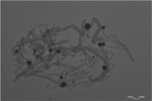 蝸殼激發(fā)科學(xué)家靈感:鋰電池有望迎來更持久的續(xù)航 蝸殼激發(fā)科學(xué)家靈感:鋰電池有望迎來更持久的續(xù)航