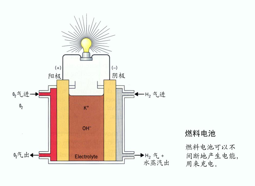 新研究揭示細(xì)菌酶制取甲酸機(jī)制 可用于造燃料電池 新研究揭示細(xì)菌酶制取甲酸機(jī)制 可用于造燃料電池