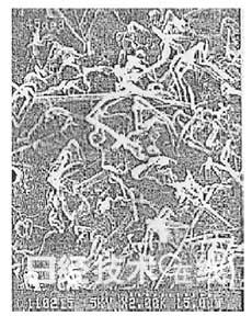 鋰電池開發史（1）：鋰電池擺脫三重苦即將登場