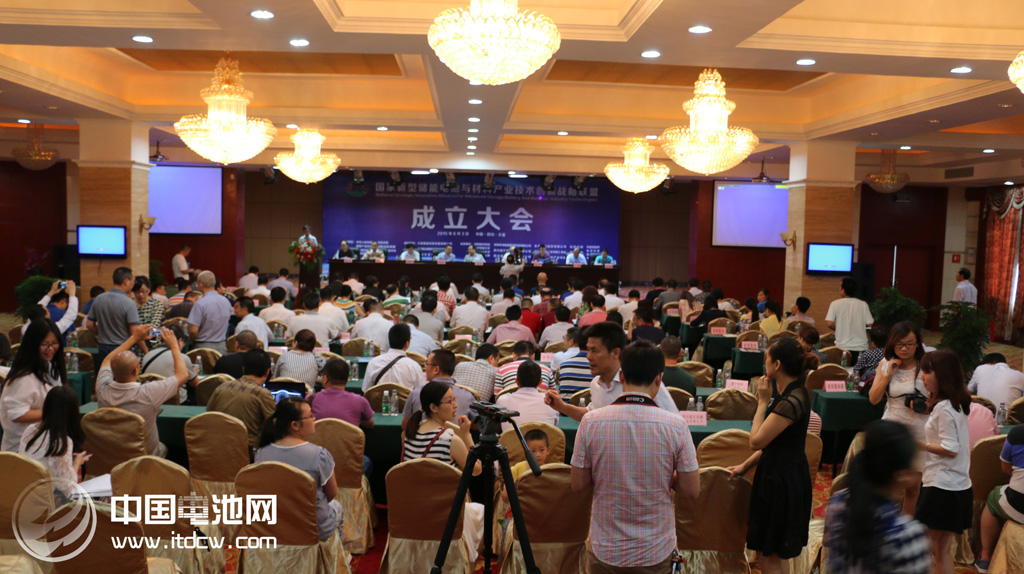 電子科大能源科學與工程學院副院長吳孟強、電子科大資產(chǎn)管理公司總經(jīng)理、四川經(jīng)信委創(chuàng)新處副處長丁銳、張樹人先后發(fā)了言，縣委書記蔣喻新，科技部中國技術(shù)市場協(xié)會常務(wù)理事、副秘書長孫小林共同為國家新型儲能電池與材料產(chǎn)業(yè)技術(shù)創(chuàng)新戰(zhàn)略聯(lián)盟揭牌。