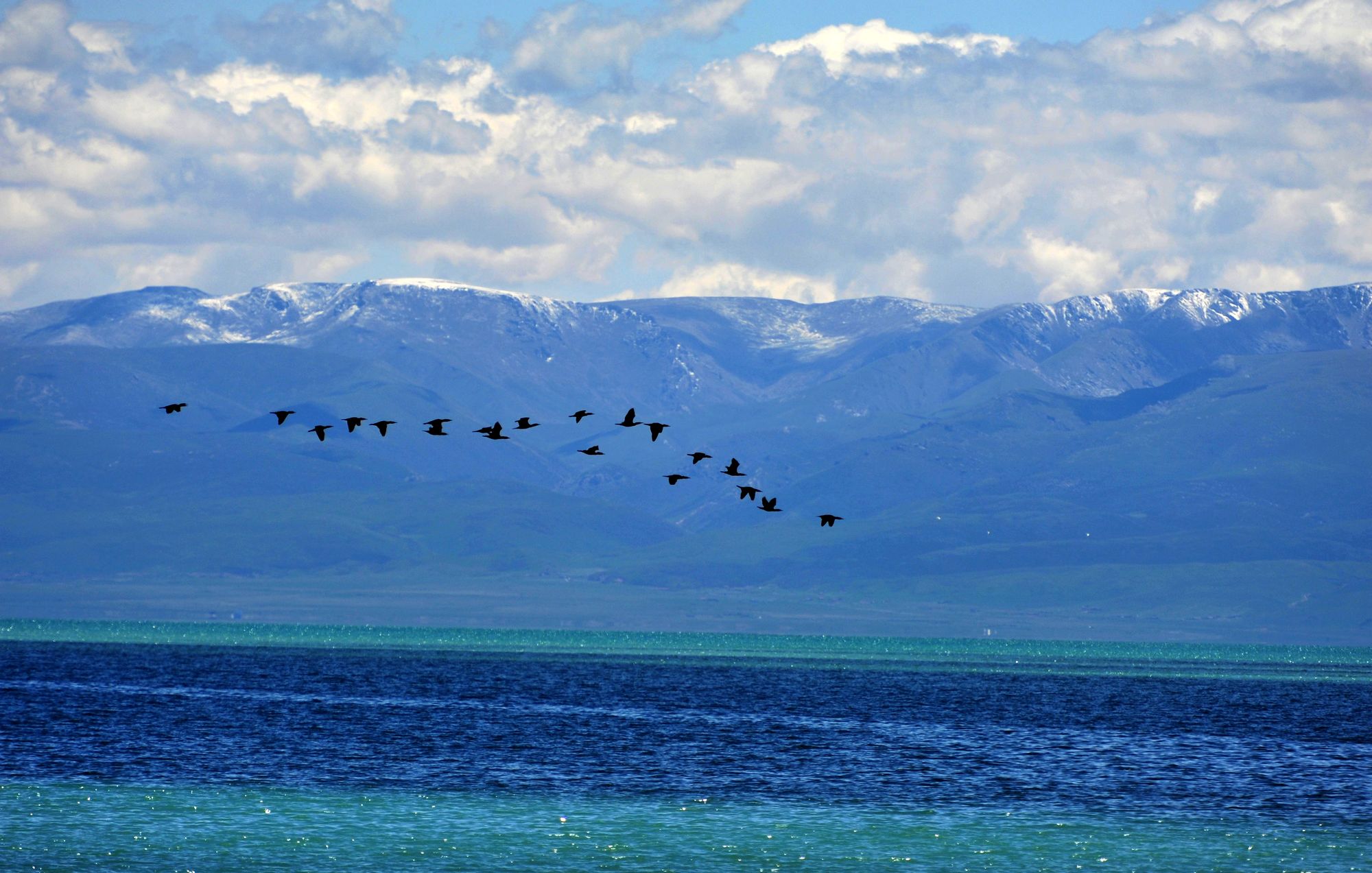 追溯鋰產(chǎn)業(yè)成長(zhǎng)發(fā)展 全國(guó)首個(gè)鋰產(chǎn)業(yè)展覽館落戶(hù)青海