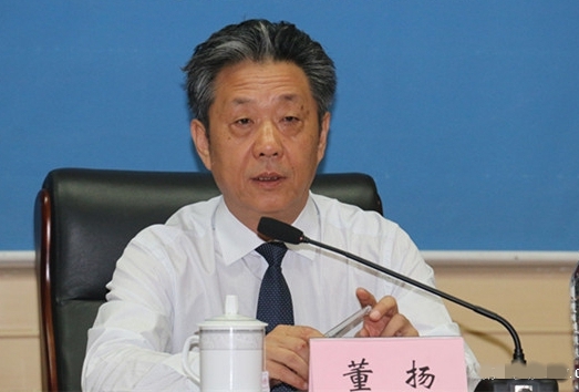 董揚：政策穩定是新能源汽車逆勢增長重要原因