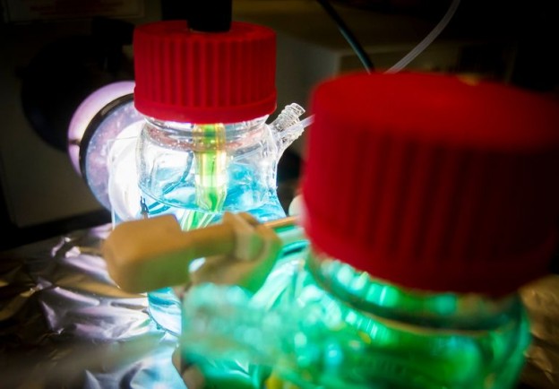 搭配釩液流電池 新型太陽能電池可全天候儲能 搭配釩液流電池 新型太陽能電池可全天候儲能