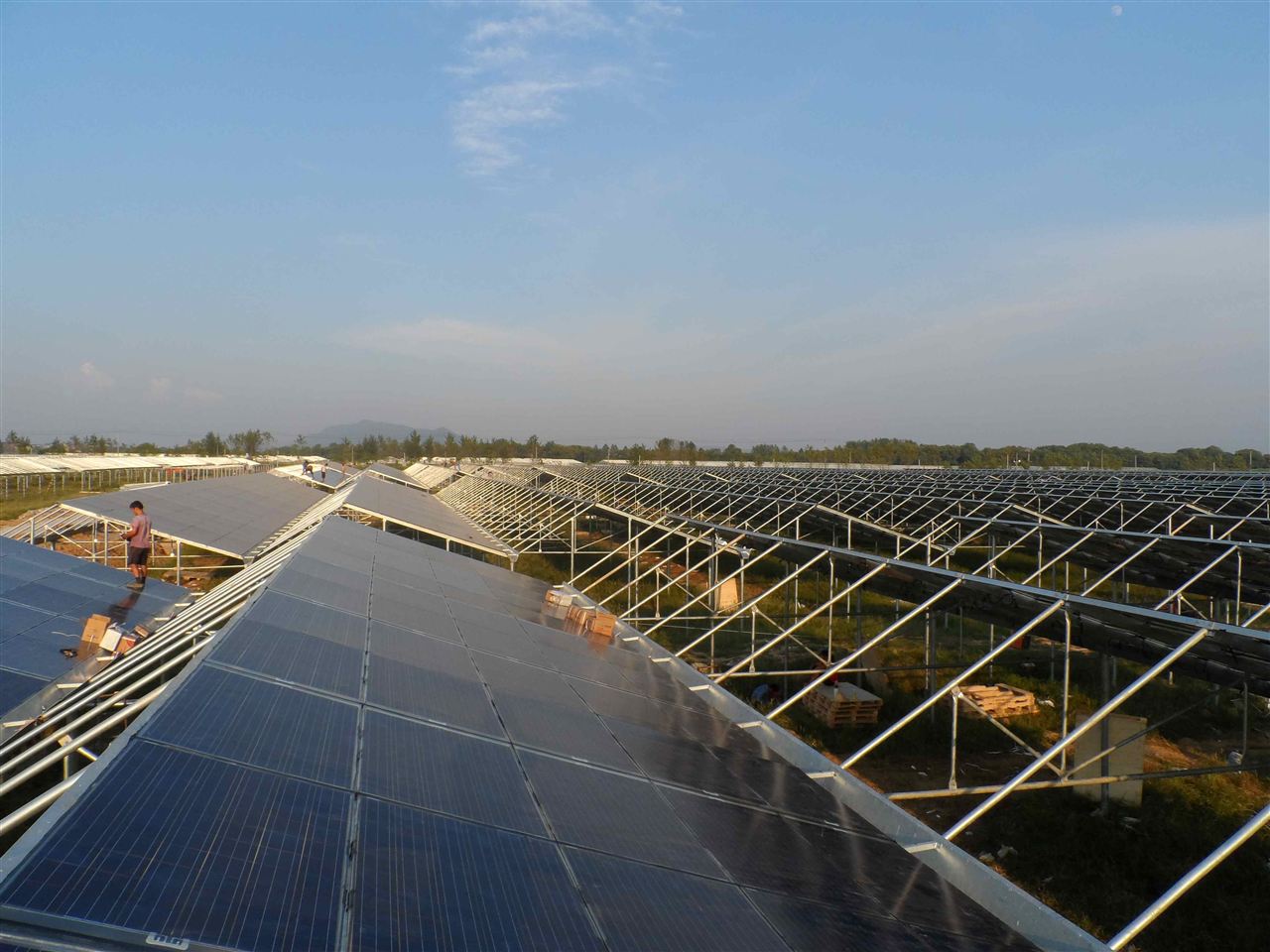 臺灣太陽能電池股逆市上揚 產能利用率回升到滿載