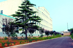 山東稀土產業緣何后來居上？儲量雖少 附加值高