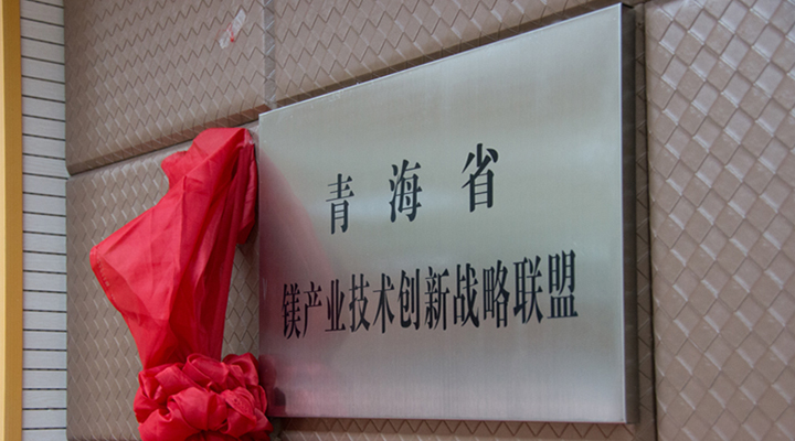 青海成立鋰鎂產業技術創新戰略聯盟 提升競爭力 青海成立鋰鎂產業技術創新戰略聯盟 提升競爭力