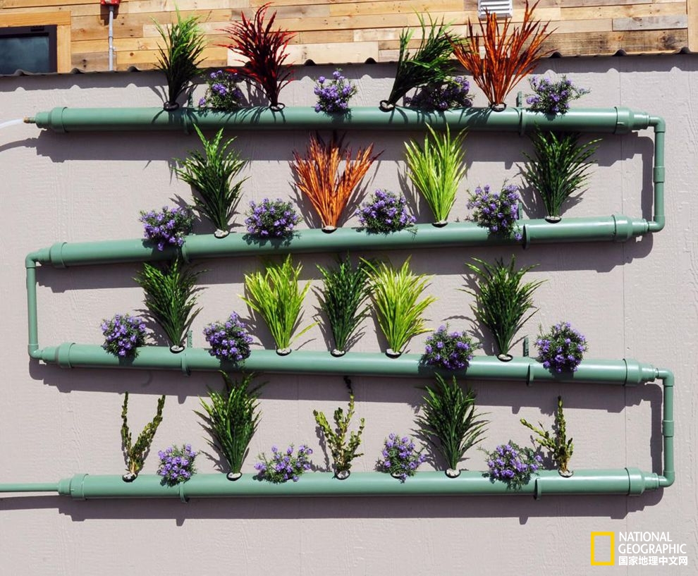 2015年太陽能十項全能競賽:未來智能家居不只有太陽能 2015年太陽能十項全能競賽:未來智能家居不只有太陽能