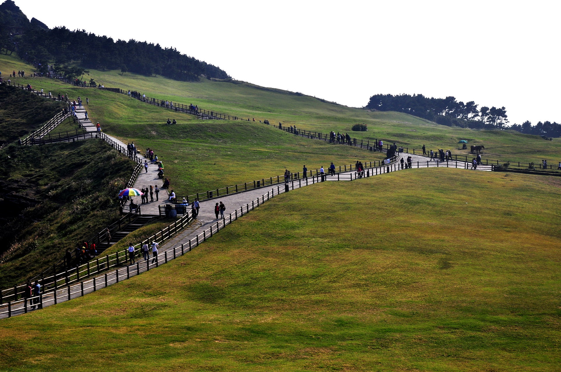 韓國濟州島 韓國濟州島