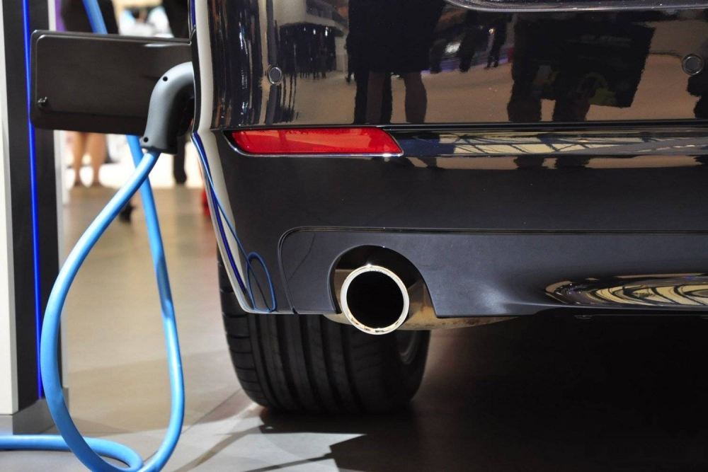 政府補貼逾百億元 誰能從新能源車賺錢？