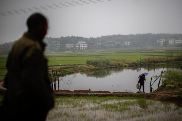 湖南衡陽(yáng)易XX等53人訴衡陽(yáng)美侖化工環(huán)境污染兒童血鉛超標(biāo)案 湖南衡陽(yáng)易XX等53人訴衡陽(yáng)美侖化工環(huán)境污染兒童血鉛超標(biāo)案