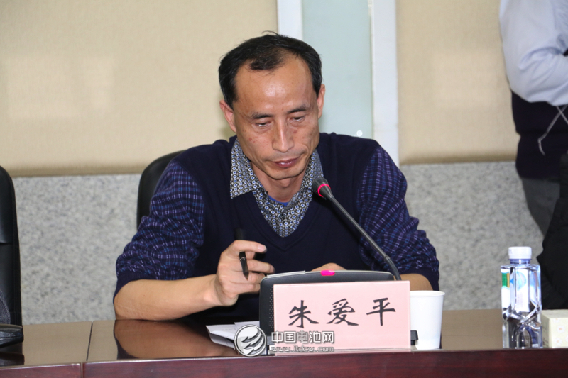 中國（長沙）先進(jìn)電池材料及電池產(chǎn)業(yè)技術(shù)創(chuàng)新戰(zhàn)略聯(lián)盟秘書長朱愛平