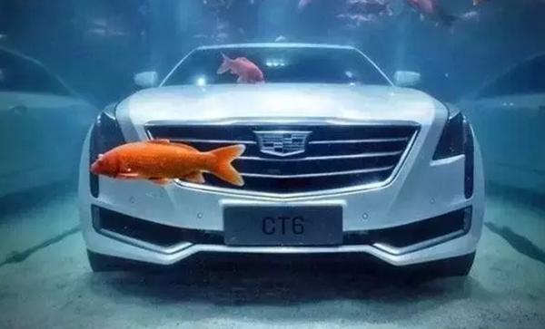 上汽榮威e550電池組完成“浸水五天”挑戰