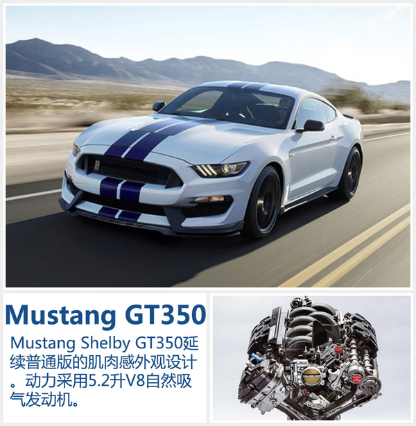 福特將推新能源等4款新車 今日在華發布 福特將推新能源等4款新車 今日在華發布